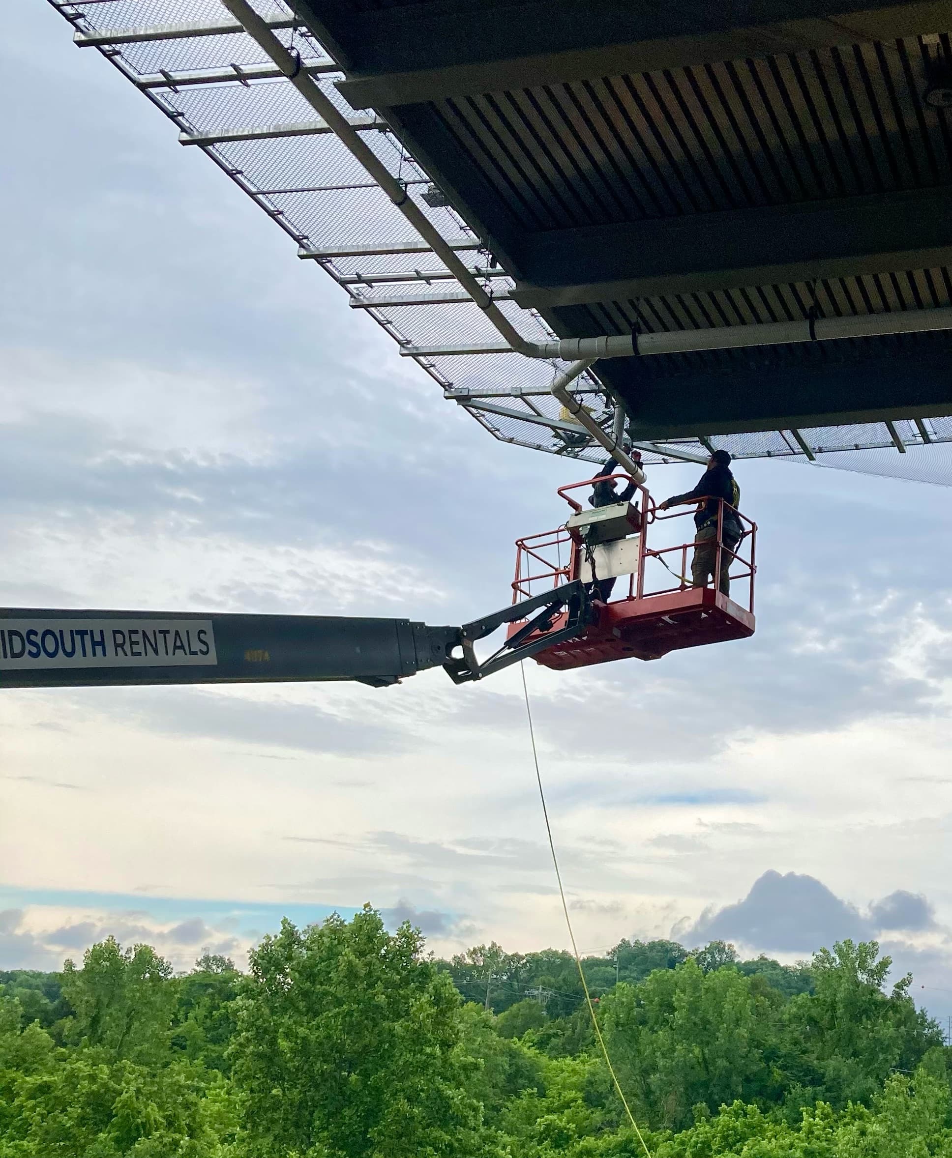 Professional bird control services