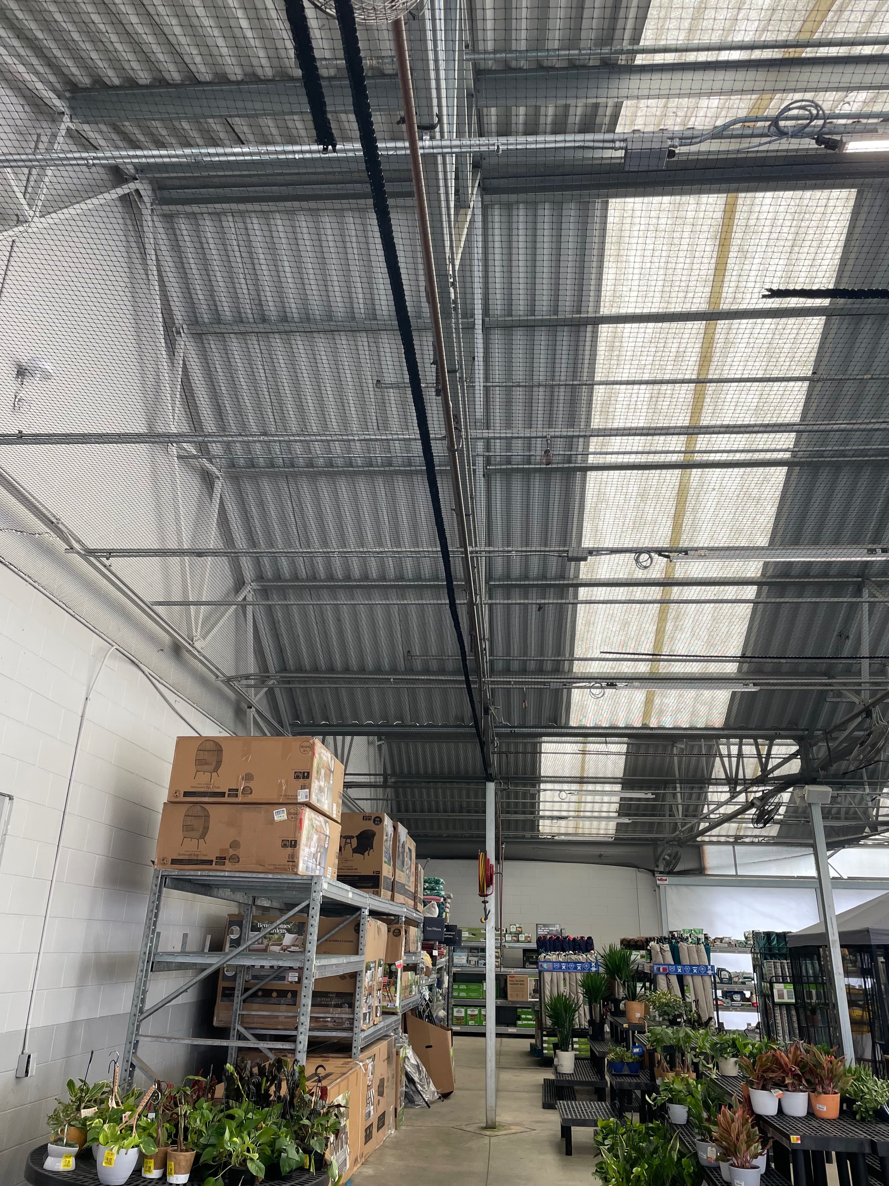 Industrial greenhouse interior with bird prevention netting