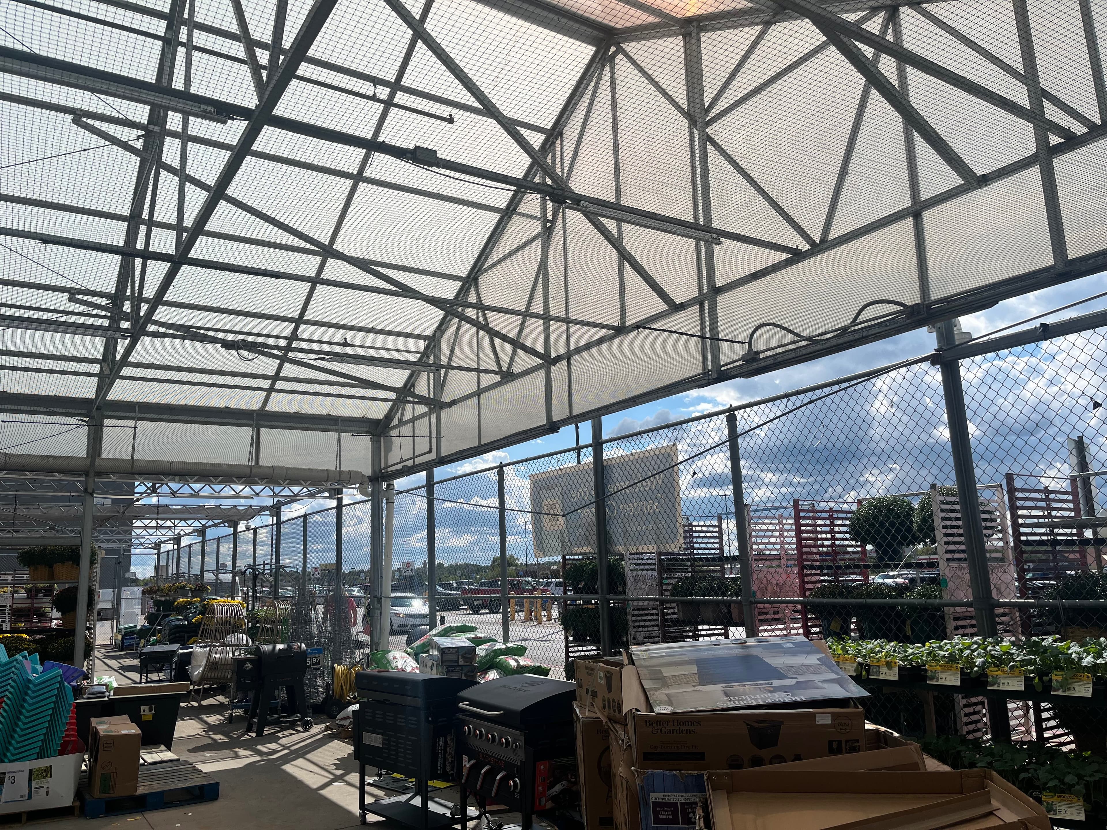 Greenhouse interior with protective bird netting installed