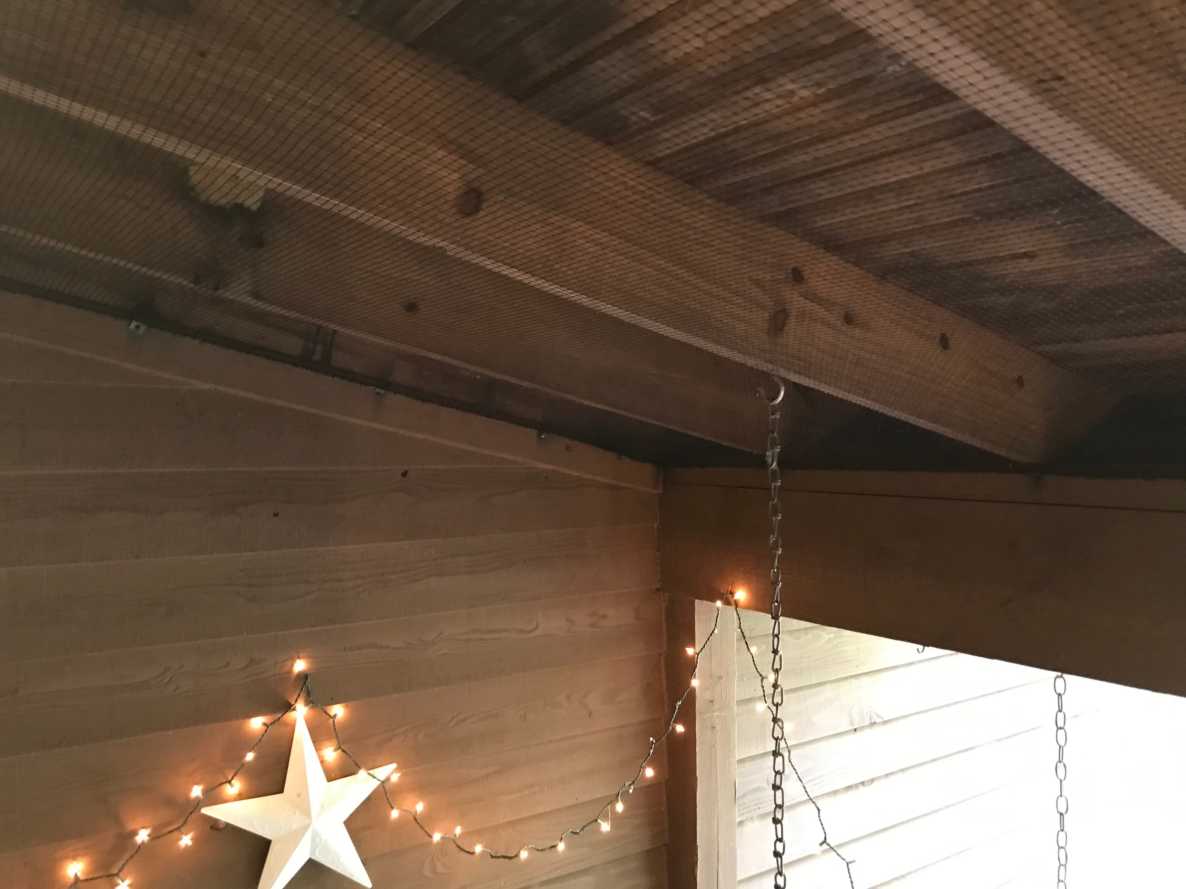 Residential ceiling with bird deterrent netting