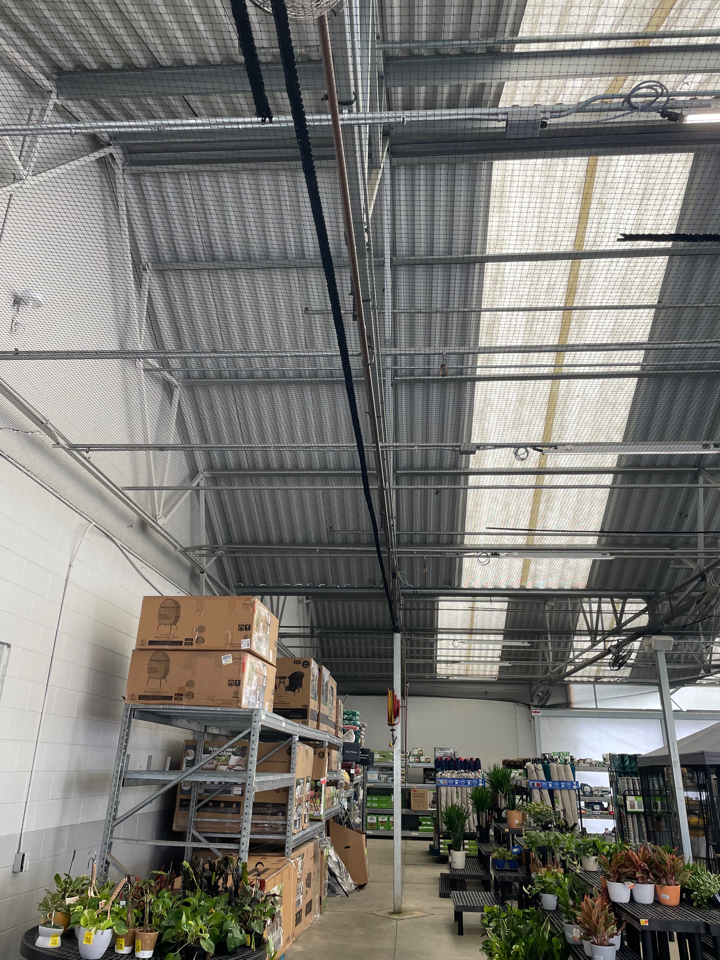 Industrial greenhouse interior with bird prevention netting