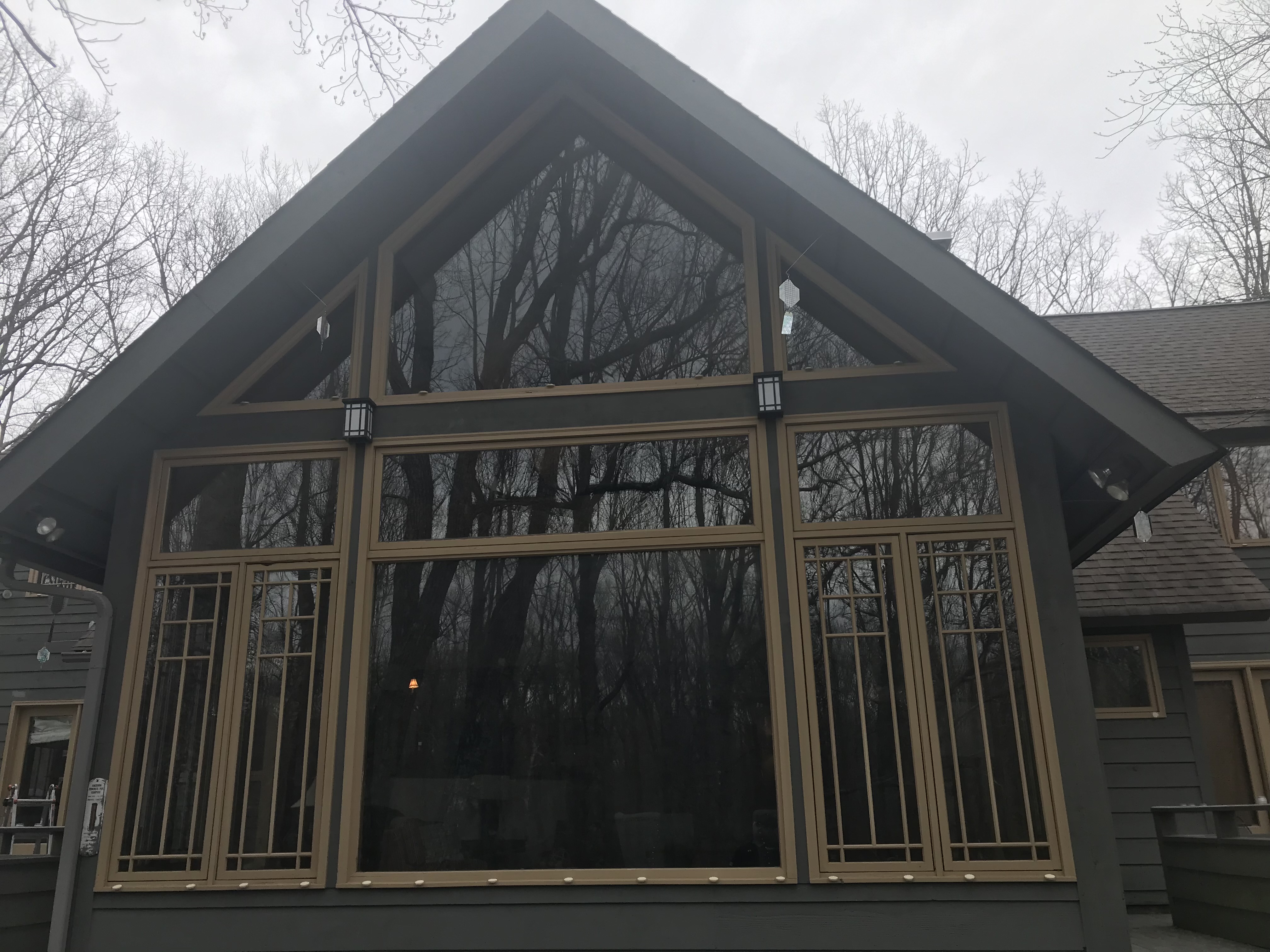 Residential home with large windows and bird protection